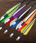 Colorful arrow shafts with various vanes including orange from 4 Inch Plastic Arrow Vanes Fletching For DIY Arrows, Orange, 50 Pack.
