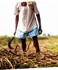 Farmer using Long Handle Manganese Steel Hand Scythe For Weeding And Uprooting In The Garden Durable Sharp Comfortable Weed Knife