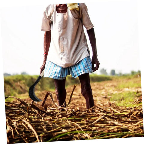 Farmer using Long Handle Manganese Steel Hand Scythe For Weeding And Uprooting In The Garden Durable Sharp Comfortable Weed Knife
