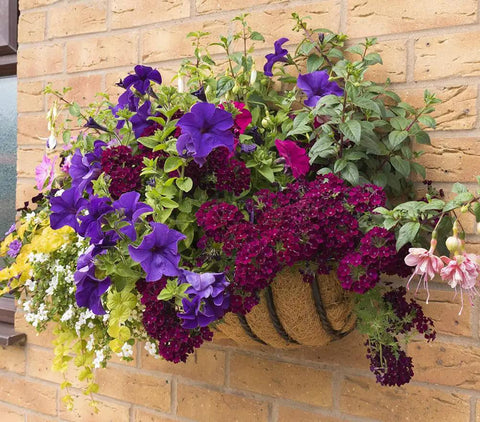 36 Inch Coco Liner Replacement For Plant Hanging Baskets And Window Boxes No Fuss Durable Thick Coconut Fiber Coir Liner with flowers