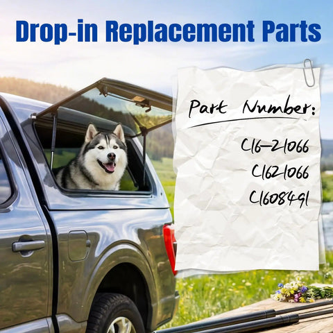 Heavy Duty 15 Inch 30 Pound Gas Struts And Spring Lift Supports No Sweat Drop In Swap For Truck Caps Camper Shells Window Leers Canopy Toolboxes And Lockers Pair with dog in truck cap.