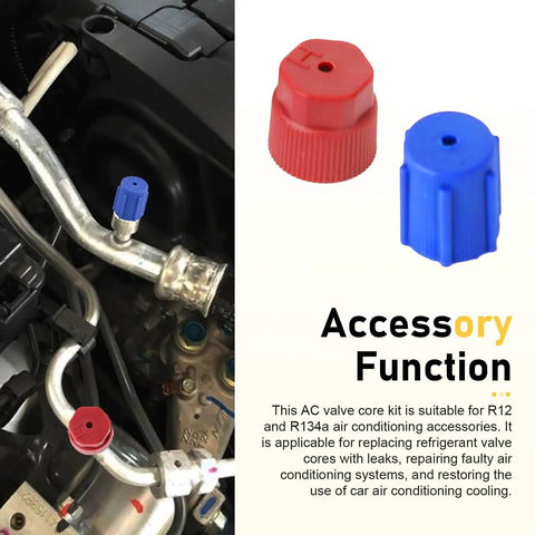 17 Piece Car AC Valve Core Kit Pro Grade With R12 To R134a Conversion detail showing caps on car AC system with description