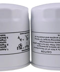 Two Pack Hydro Filter Replacement That Fits Bad Boy Scag Toro John Deere Bobcat Ariens Case Clark Hitachi New Holland IH Models
