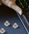 Ten Piece Set Of Linear Actuators For Mechanical Gaming Keyboards with three clear switch components on a dark background.