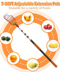 36 Foot Reach Fruit Picker Pole With Basket Telescoping Extension For Apple Orange Lemon Mango Avocado Tree Picking
