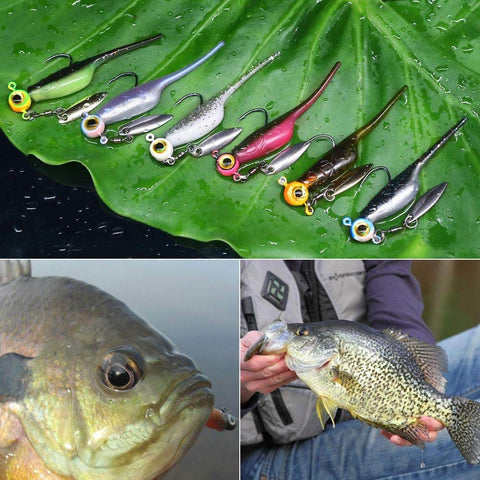 Crappie Fishing Kit With Baby Shad Soft Plastics And Spinner Jig Heads 40 Piece Crappie Panfish Lure Set displayed on leaves