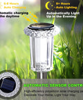 12 Pack Solar Lights Outdoor Waterproof Stainless Steel Pathway Lights showing auto charging and lighting features.
