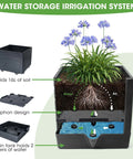 Diagram of Two Pack Raised Garden Bed Planter Box With Trellis For Climbing Vegetables And Tomatoes 58 Inch Tomato Cage Planter