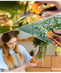 2 Pack Pruning Shears Six And A Half Inch Gardening Scissors With Sharp Stainless Steel Blades And Comfort Grip for fine pruning