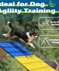 Dog jumping off Backyard Dog Agility Course Set With Non Slip A Frame And 2 Chains, Pro Training Equipment for large dogs.
