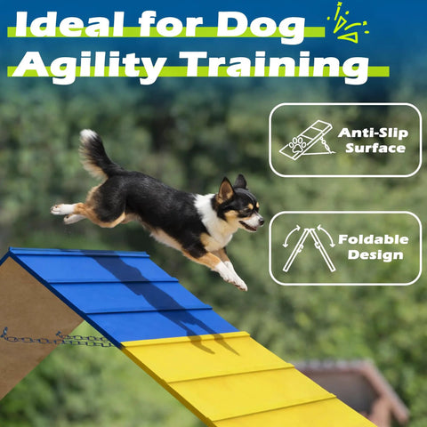 Dog jumping off Backyard Dog Agility Course Set With Non Slip A Frame And 2 Chains, Pro Training Equipment for large dogs.