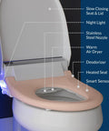 Straight Up Luxe Electric Bidet Toilet Seat With Super Comfy Heated Seat, showcasing slow closing lid, night light, and stainless steel nozzle.