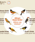 Illustration showing various oriole species attracted by Go-To Multi-Station Oriole Feeder for outdoor bird feeding.