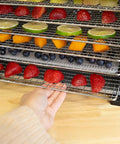Top Shelf Eight Tray Stainless Steel Food Dehydrator Running Smooth With Digital Timer And Adjustable Temp Control Made For Killer Jerky Dried Fruits Veggies Fresh Herbs Dog Biscuits 650W Bpa Free with strawberries and blueberries being placed on a tray.