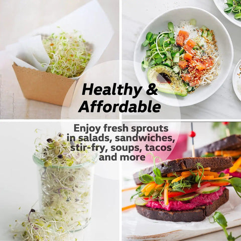 Collage of salads, sandwiches, and jars showcasing uses for sprouts in meals, highlighting versatility and health benefits.
