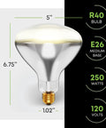 250 Watt R40 Heat Lamp Bulbs Pack Of 2 Clear Incandescent Reflector Lamps With E26 Base 120V 2000 Hour Rating, bulb diagram