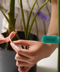 Hands apply Large Size Cable Cord Labels For Wire Organization And Identification No Tape Or Twist Ties Needed Easy To Write On For Computer Cords Power Strips Charging Cables And More Durable Clear Adhesive on plant stems