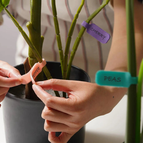 Hands apply Large Size Cable Cord Labels For Wire Organization And Identification No Tape Or Twist Ties Needed Easy To Write On For Computer Cords Power Strips Charging Cables And More Durable Clear Adhesive on plant stems