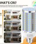 Graphic showing 6 Pack 36W LED Corn Light Bulbs Super Bright 5400LM 5000K Daylight E26 E39 Mogul Base Fanless Cob Lamp