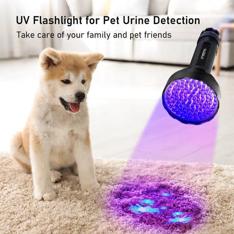 Ultra Bright 128 LED UV Blacklight Flashlight detecting pet stains on carpet next to a puppy.