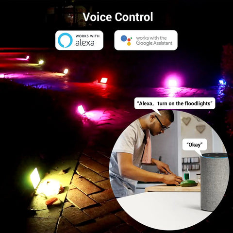 Dope Outdoor RGBW 40W LED Flood Light With Smart Color Changing and Alexa control illuminating a garden path.