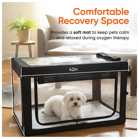 Portable Oxygen Therapy Cage For Pets Vet Grade Oxygen And Nebulizer Chamber For Dogs Cats Puppies And Sheep Includes Tubing Kit Soft Mat Venturi Adapters Nebulizer T Fitting Concentrator Not Included with white dog inside, 42x24x24 inches.