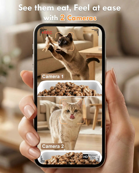 Image of Top Shelf Automatic Cat Feeder With Dual Bowls And HD Camera Setup built for two cats, showcasing live tracking on phone.