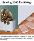 Elephant on box supported by Clear Plastic Shim Wedges 8 Pack For Leveling Tables And Furniture, detail of wedges on wooden floor.
