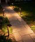 Low Voltage Outdoor Pathway Lighting Kit With 0.6W LED 3100K Warm White 12V Metal Path Lights In Charcoal Brown 8 Pack illuminating a walkway