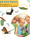 Kids observing mantis cycle from the Life Cycle Science Toys For Kids Set With Butterfly Frog Chicken Mantis Bee And Plants 25 Animal Figurines Montessori Learning Kit For Hands On Nature Education Ages 3 4 5 6 7 8.