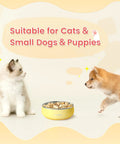 Built Tough Double Wall 304 Stainless Steel Chow Bowl For Small Dogs And Puppies 12 ounces with kitten and puppy nearby.