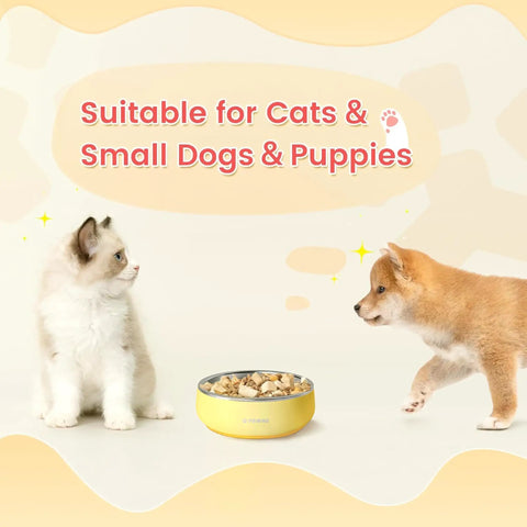 Built Tough Double Wall 304 Stainless Steel Chow Bowl For Small Dogs And Puppies 12 ounces with kitten and puppy nearby.