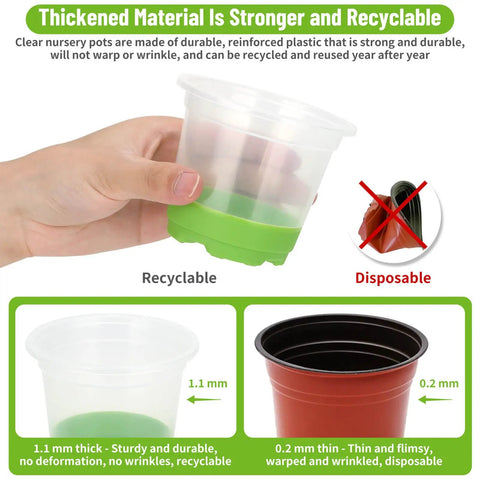 Hand holding thick, clear pot with green silicone base from All In One Reusable Seed Starter Kit With 26 Clear 4 Inch Pots Silicone Base And Drainage