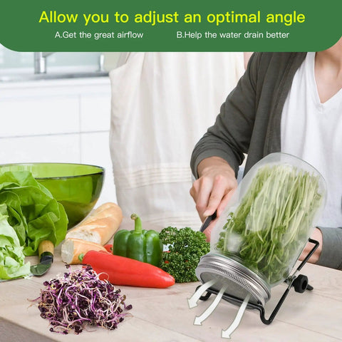 Sprouting Lids and Adjustable Jar Stands Kit for 86mm Wide Mouth Mason Jars Stainless Steel Sprout Lids in use with fresh sprouts