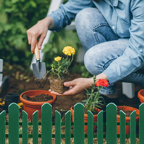 Gardener planting flowers behind 12 Pack Garden Edging Border Kit From Recycled Plastic Flexible Landscape Fence Spikes No Dig.