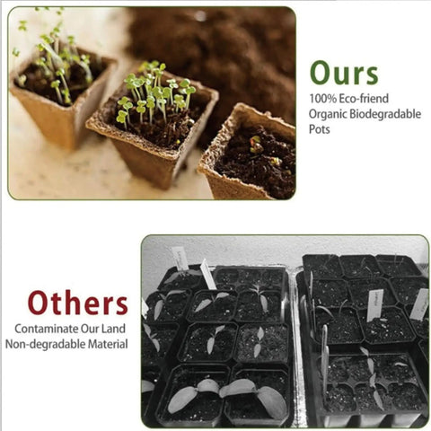 360 Cell Seedling Starter Trays With Biodegradable Peat Pots, 36 Pack Eco Friendly Garden Kit For Germination Of Herbs Vegetables Tomatoes Microgreens Lettuce Flowers And More Great For First Time Gardeners