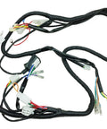 Complete GY6 Wiring Harness For 50cc 70cc 90cc 110cc 125cc 4 Stroke ATVs Mopeds Dirt Bikes Go Karts Ride Ready Replacement Upgrade TaoTao VIP 139QMB Compatible with Various 50cc to 125cc Engines shown on white background