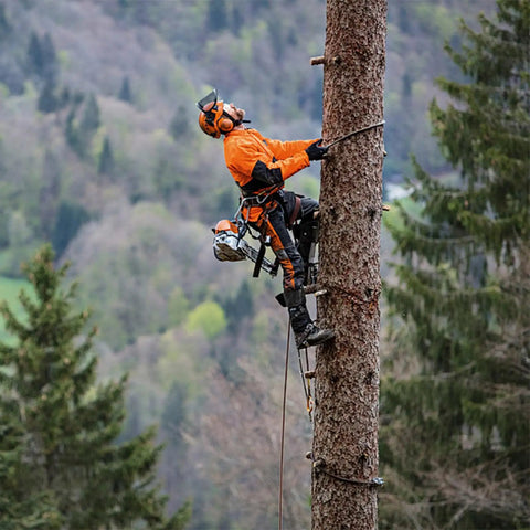 Tree Climbing Gear Set With Spikes And Adjustable Straps For Arborists Hunters And Fruit Picking Includes Carabiners Rope