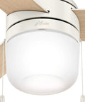 Acumen 42 Inch Indoor Ceiling Fan With Reversible Motor Fresh White Finish Two Position Mounting close-up light fixture