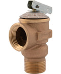 Bronze Cash Acme 3/4 in RV FWL-2 pressure relief valve, front view