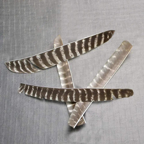 Close-up of 30 Piece Pro Grade Full Length Turkey Feather Arrow Fletching Set For DIY Arrows Right Wing Spiral Twist Wrap 18 To 26 Cm Trueflight RW Feathers For Wooden Shafts Stable And Accurate Flight.