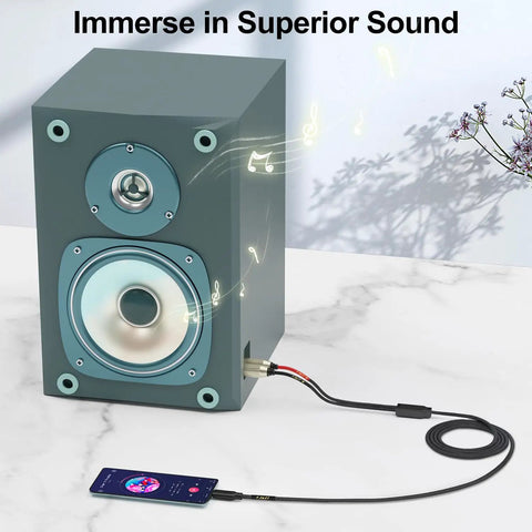 USB C to Dual XLR Male Audio Cable for Amplifiers and Mixers, 6ft, connected from smartphone to speaker with music playing.