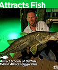 Hella Bright Green Underwater Dock Light providing killer HID beam illuminating fisherman with large fish at night.