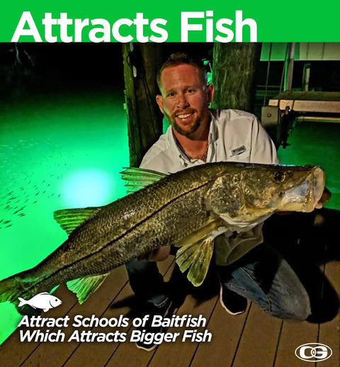 Hella Bright Green Underwater Dock Light providing killer HID beam illuminating fisherman with large fish at night.