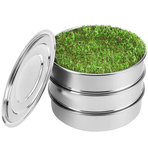 Stackable Stainless Steel Seed Sprouting Kit With Two Mesh Trays Base And Lid Durable 304 Grade showcased with fresh sprouts growing