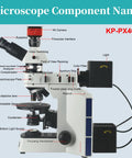 Beast Of A 193X Through 1935X Trinocular Polarizing Metallurgical Microscope For Observing And Analyzing Mineral And Rock Crystals With HDMI LAN And USB 3.0 Output That Lets You Plug Direct To Monitor Or PC. labeled side view with 4K camera, eyepiece, stage, and light