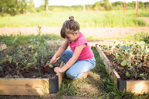 Child gardening with corner brackets for raised garden beds, securing lip visible on 2x12 lumber, set of 4, black steel.