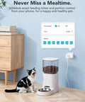 Cat feeder plugged into Real Time Energy Monitoring Smart Plug With WiFi And Bluetooth, Works With Alexa And Google Assistant, 15A Outlet