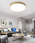 24 Inch Black LED Flush Mount Ceiling Light Modern Large Round Fixture Brighten Up Space 40W Ceiling Lamp in living room 3000K 4000K 5000K