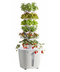 Vertical Hydroponic Tower With 6 Tiers And 30 Pods, App Controlled Indoor Garden For Herbs Fruits Veggies on white background